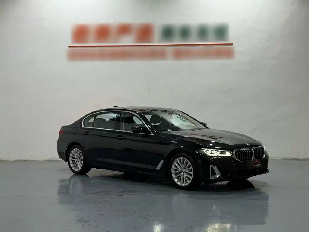 BMW 5 Series New Energy — фото 9