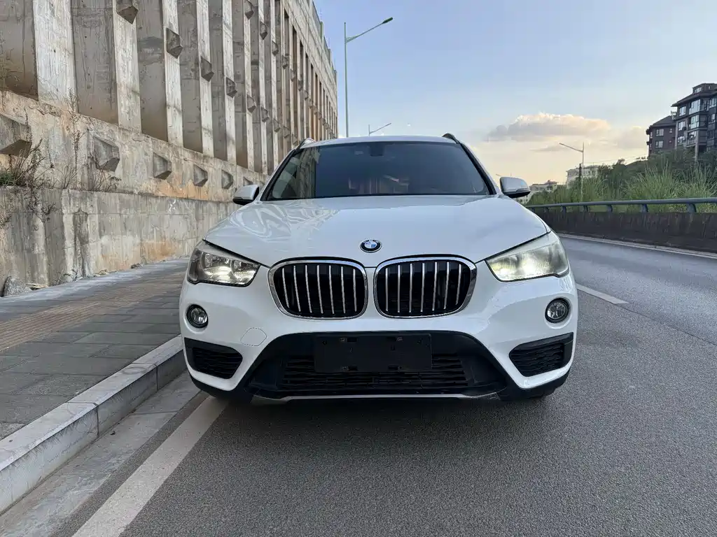 BMW X1 — фото 2