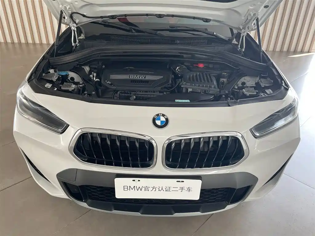BMW X2 — фото 13