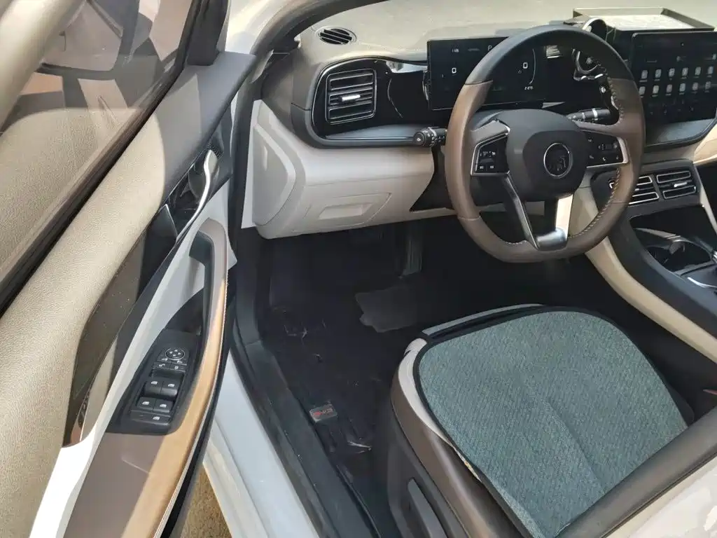BYD Qin PLUS — фото 17