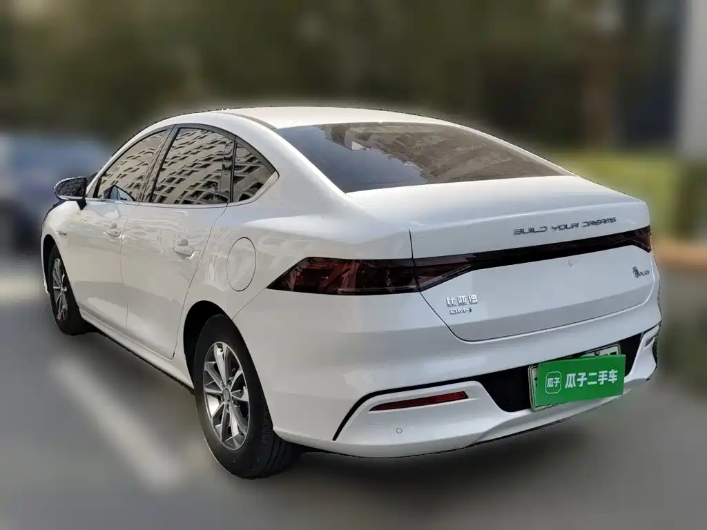 BYD Qin PLUS — фото 4