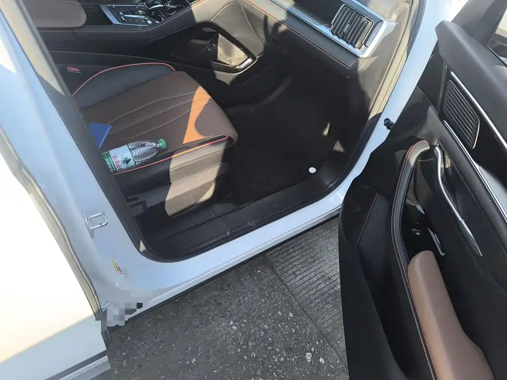 BYD PLUS — фото 19