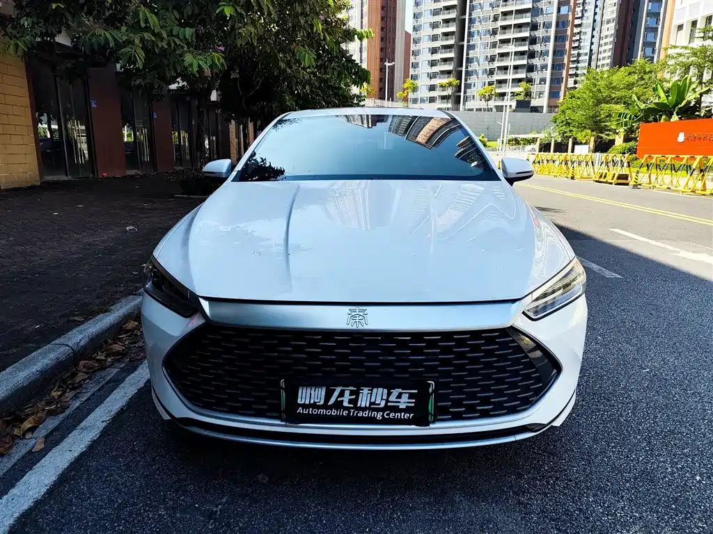BYD Qin PLUS — фото 2