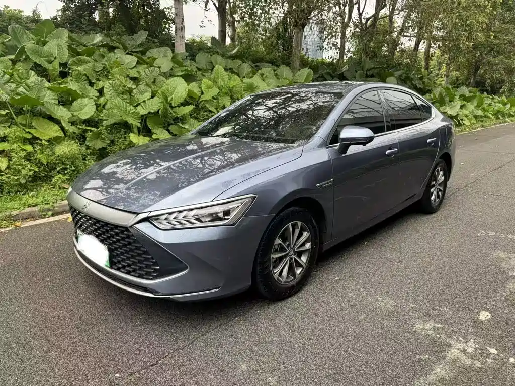BYD Qin PLUS — фото 2
