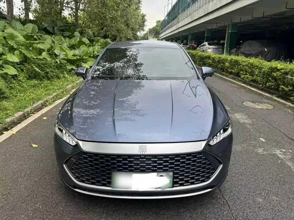 BYD Qin PLUS — фото 3