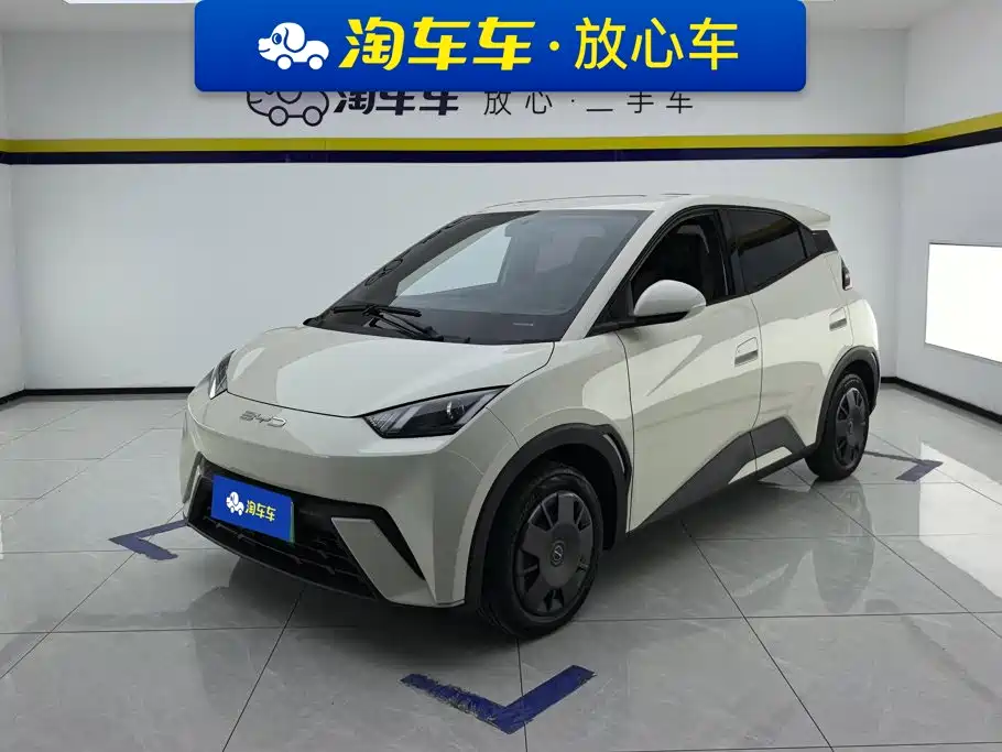 BYD Seagull