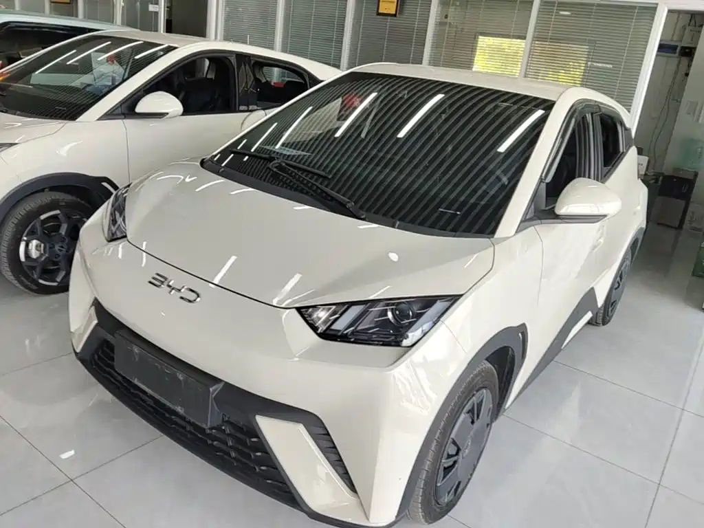 BYD Seagull