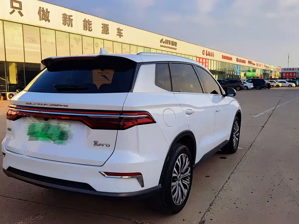 BYD Pro New Energy — фото 4