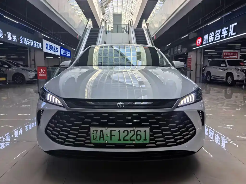 BYD Qin PLUS — фото 2
