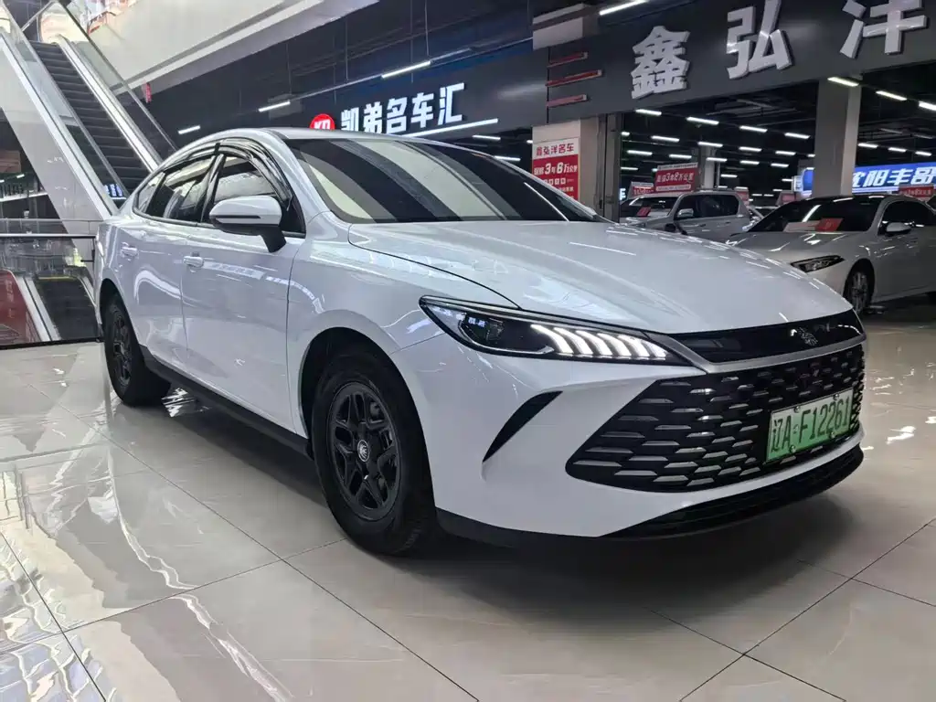 BYD Qin PLUS — фото 3