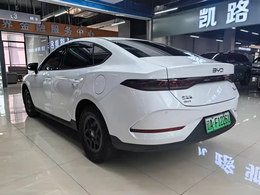 BYD Qin PLUS — фото 6