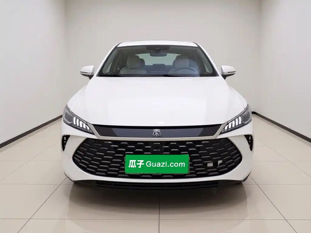 BYD Qin PLUS — фото 2