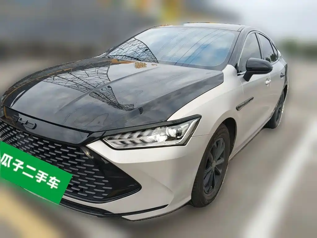BYD Qin PLUS — фото 2