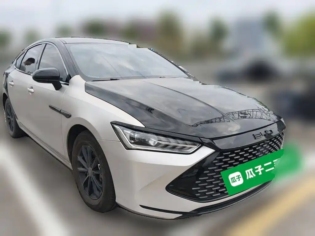 BYD Qin PLUS — фото 4