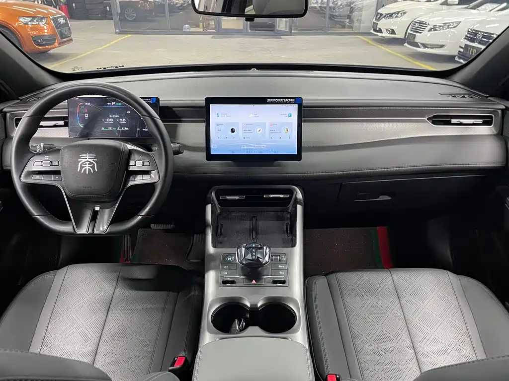 BYD Qin PLUS — фото 11