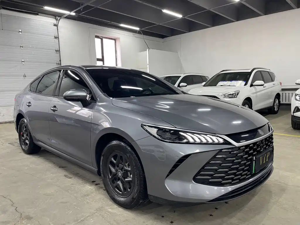 BYD Qin PLUS — фото 3