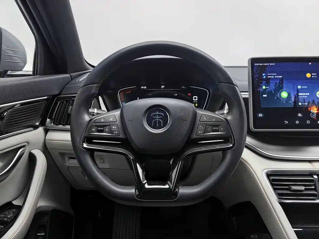 BYD PLUS New Energy — фото 11