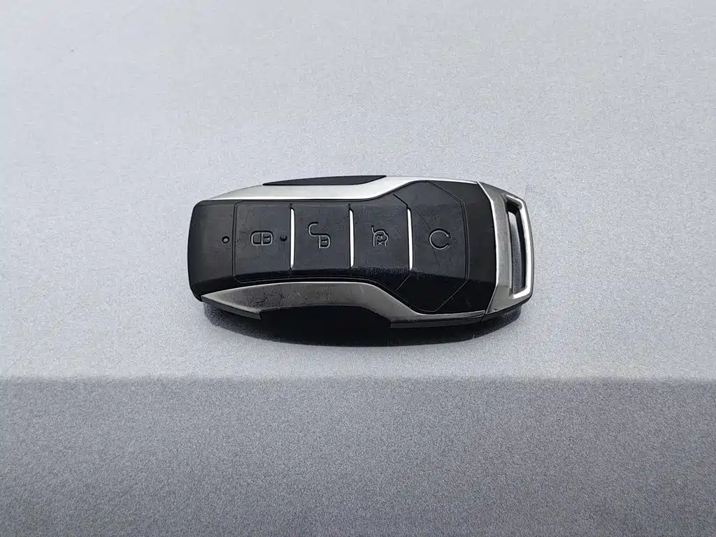 BYD PLUS New Energy — фото 19