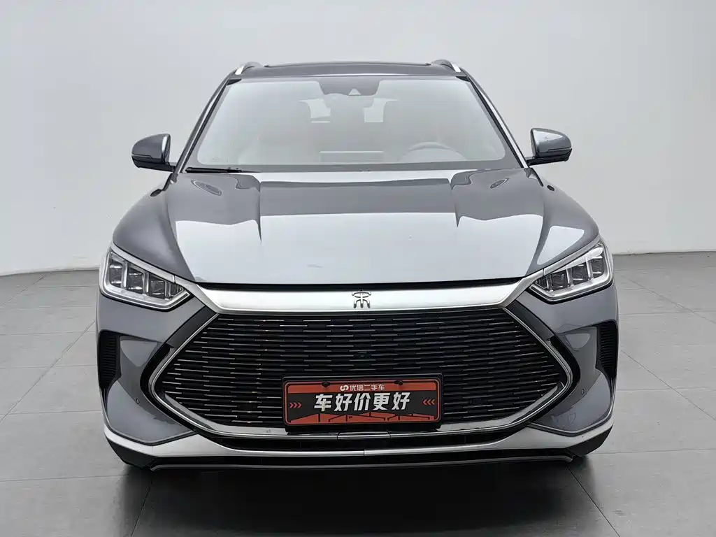 BYD PLUS New Energy — фото 3