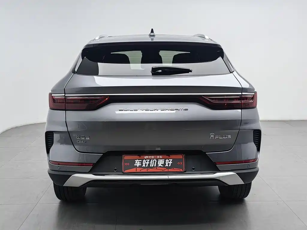 BYD PLUS New Energy — фото 4