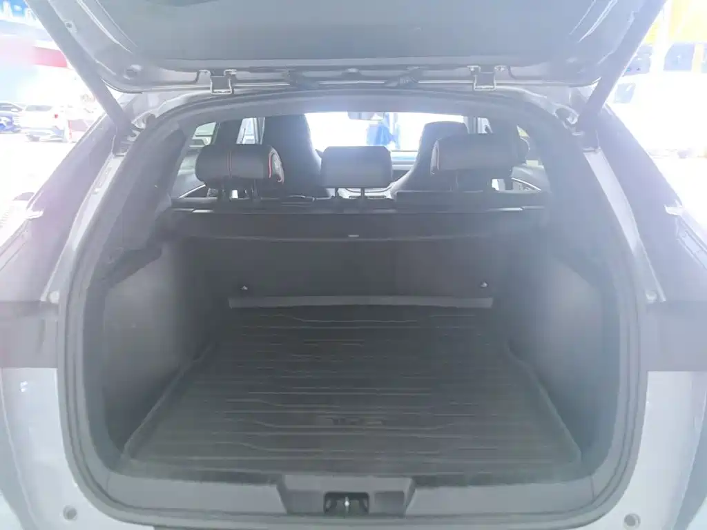 BYD PLUS New Energy — фото 19