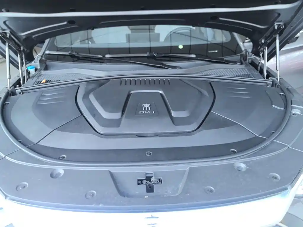 BYD PLUS New Energy — фото 20