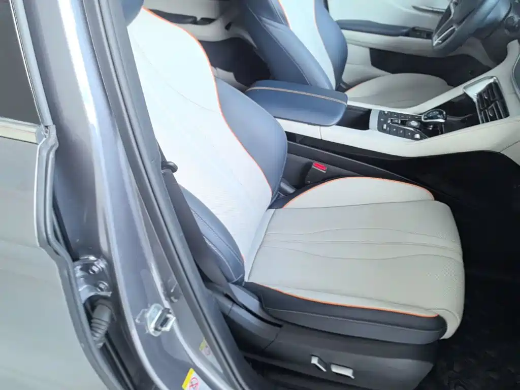 BYD PLUS New Energy — фото 25
