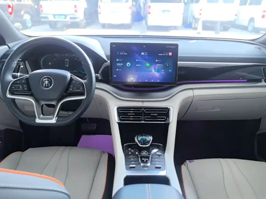 BYD PLUS New Energy — фото 10