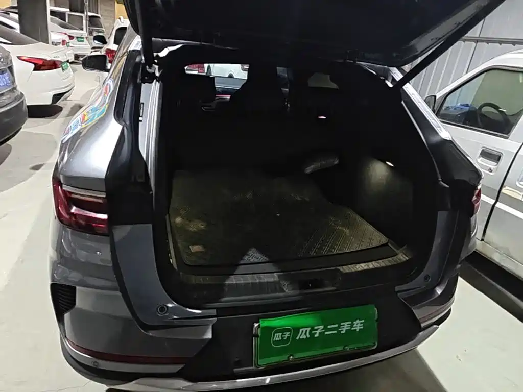 BYD PLUS New Energy — фото 15