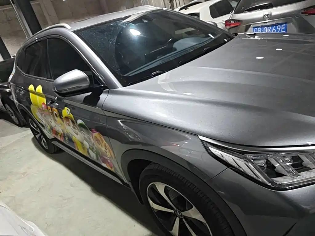 BYD PLUS New Energy — фото 27