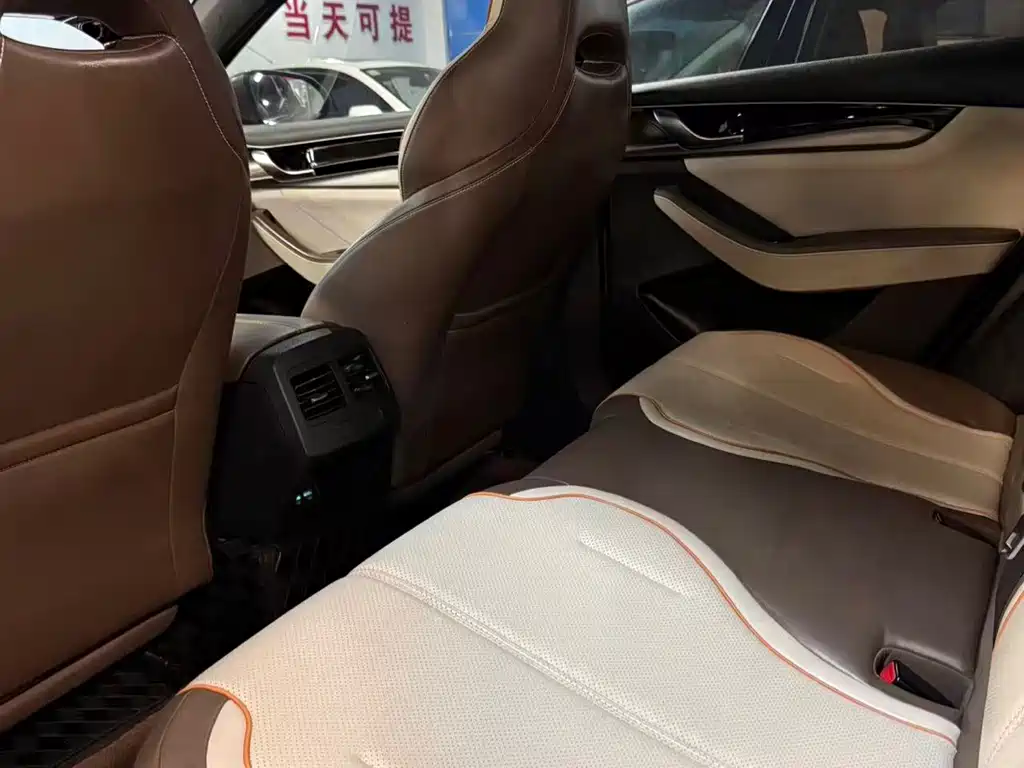 BYD Qin PLUS — фото 6
