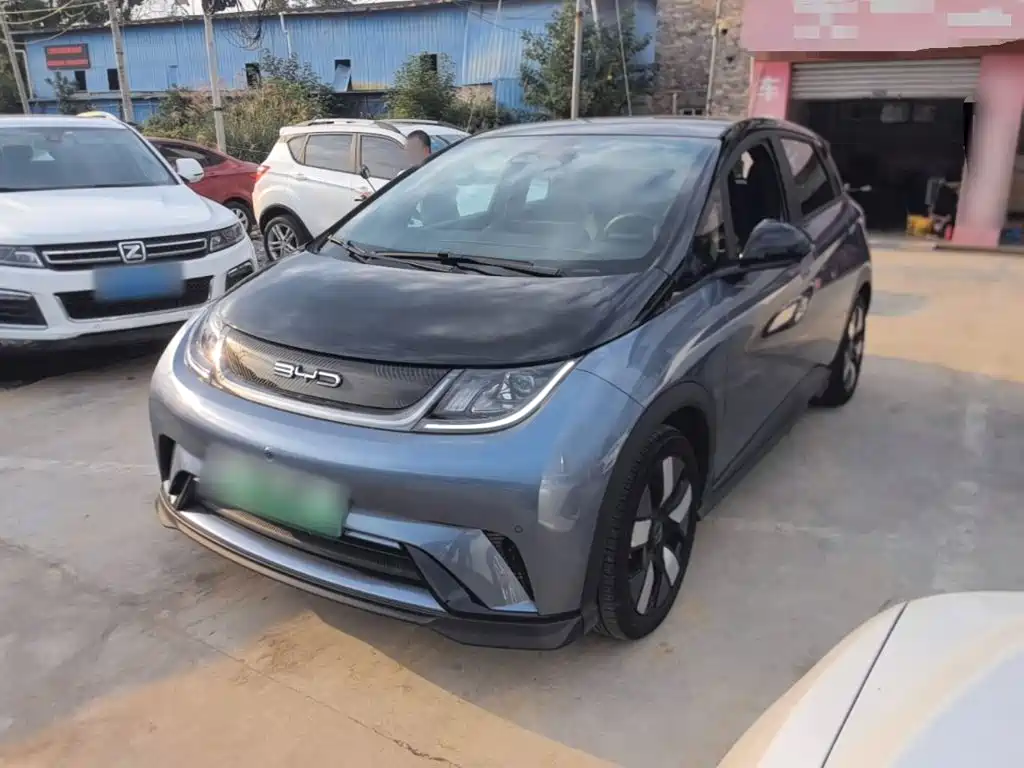 BYD Dolphin