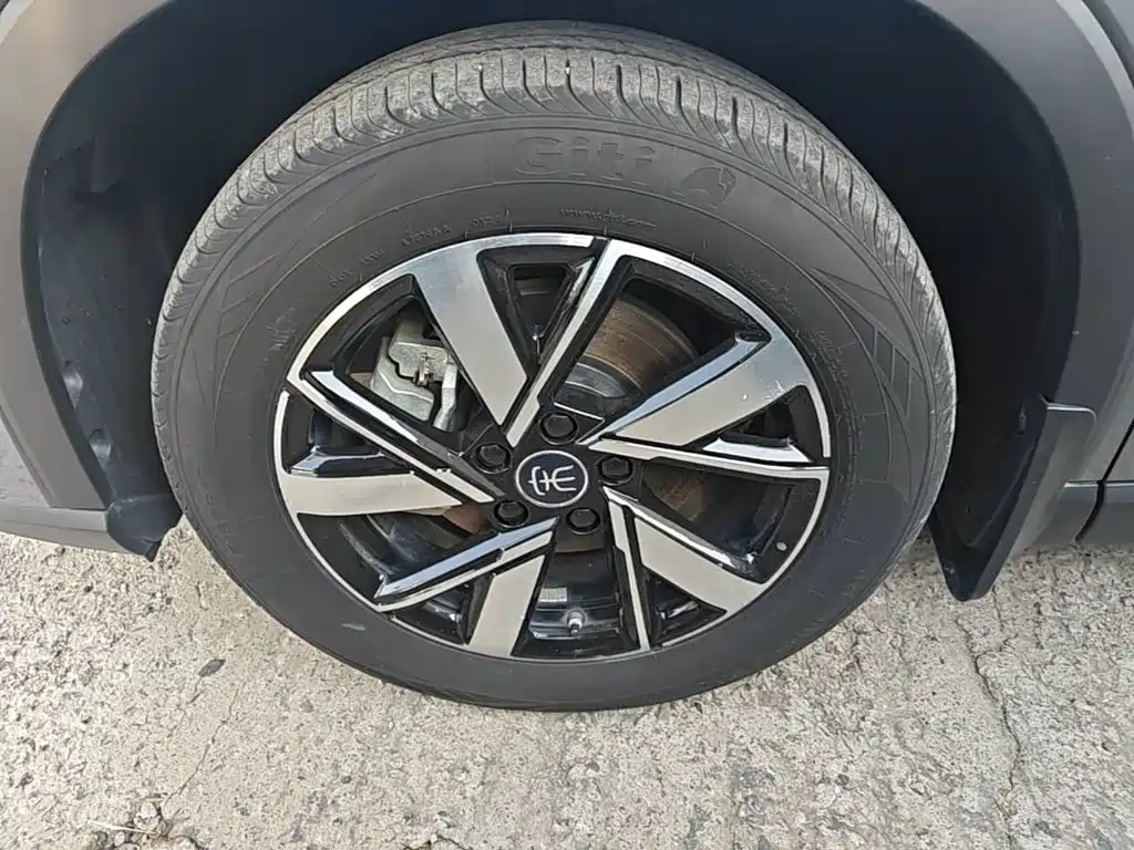 BYD Pro New Energy — фото 23