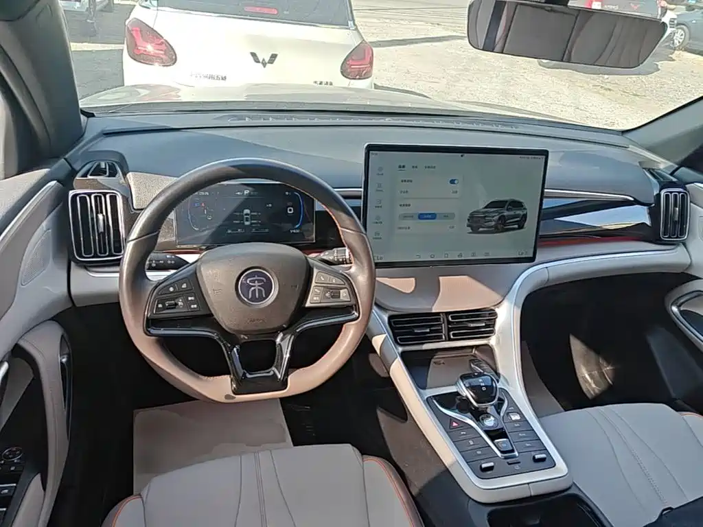 BYD Pro New Energy — фото 10
