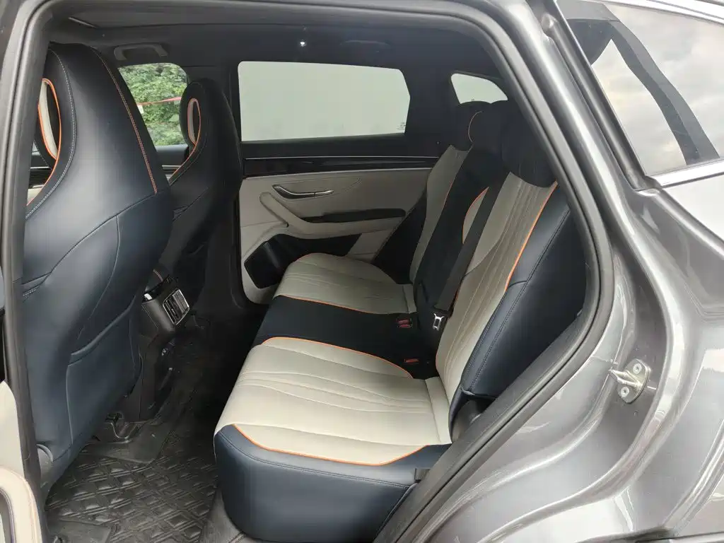 BYD PLUS New Energy — фото 17