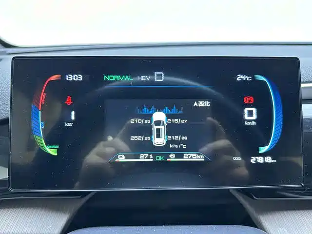 BYD Pro New Energy — фото 8