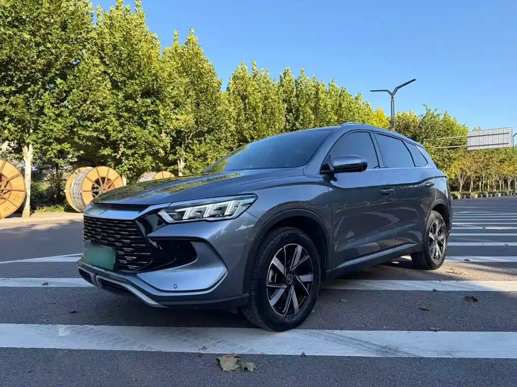 BYD Pro New Energy — фото 2