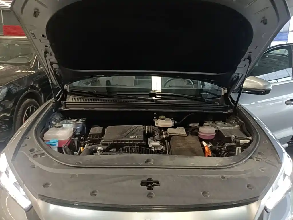 BYD Pro New Energy — фото 20