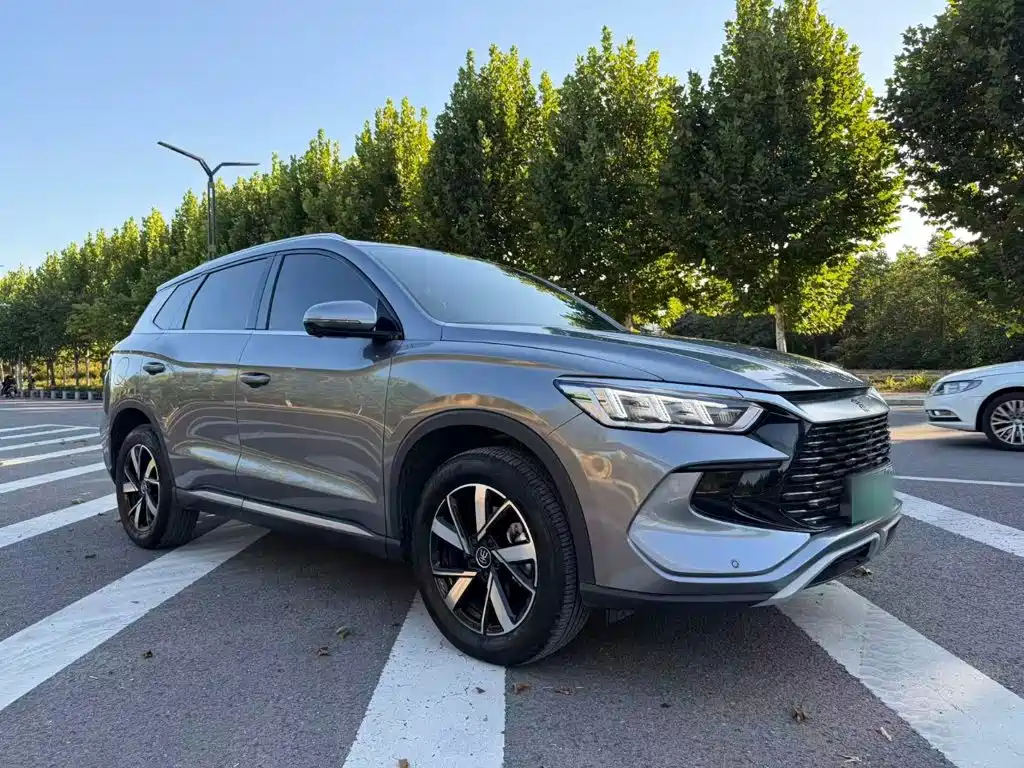 BYD Pro New Energy — фото 4