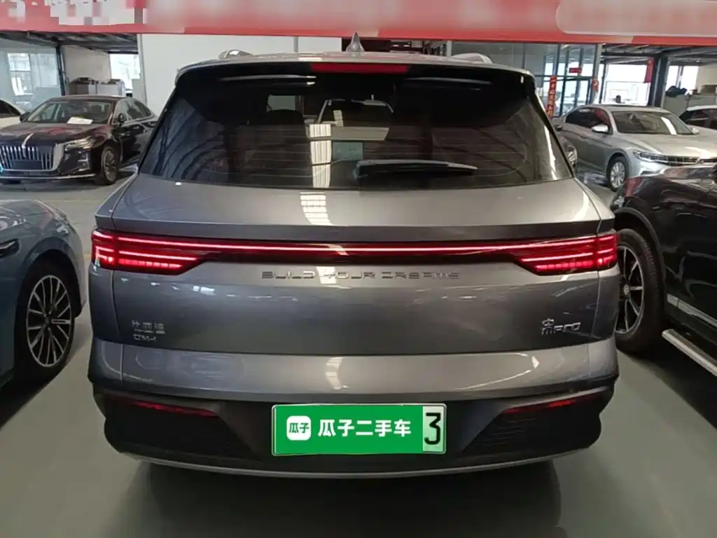 BYD Pro New Energy — фото 6