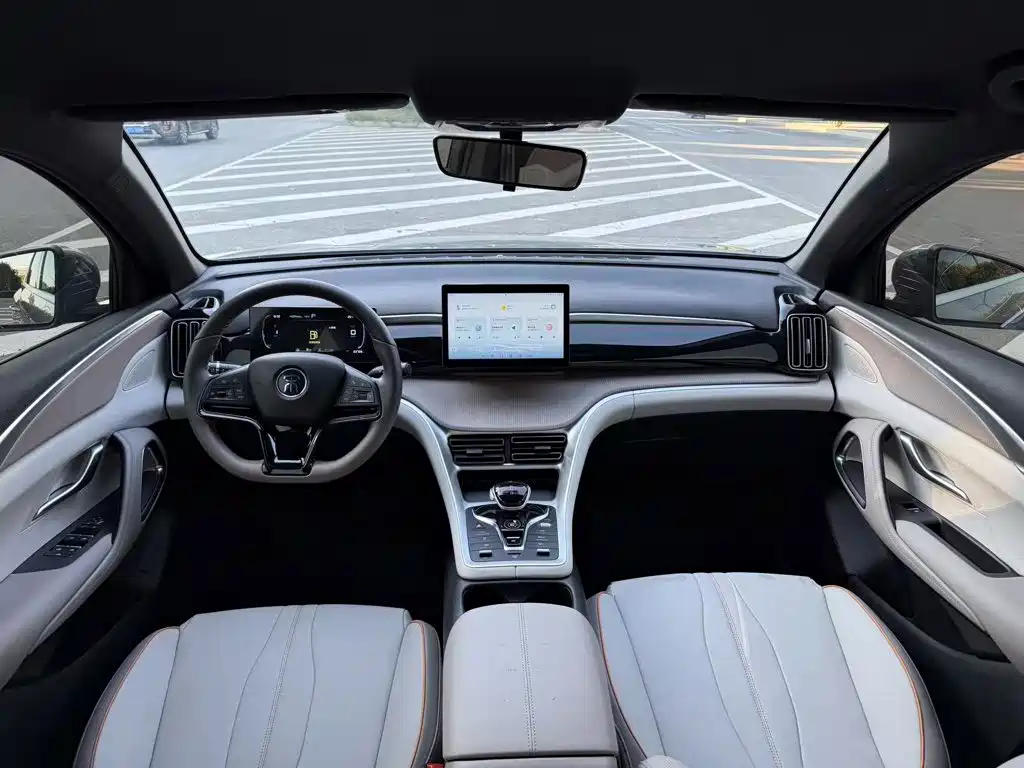 BYD Pro New Energy — фото 10