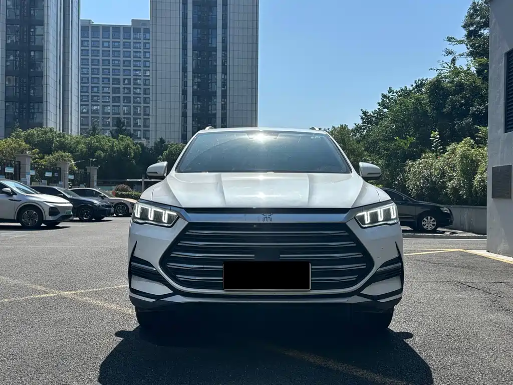BYD Pro New Energy — фото 2