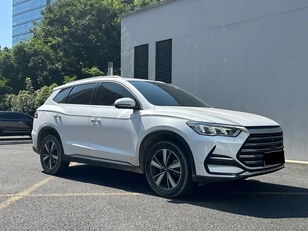 BYD Pro New Energy — фото 3