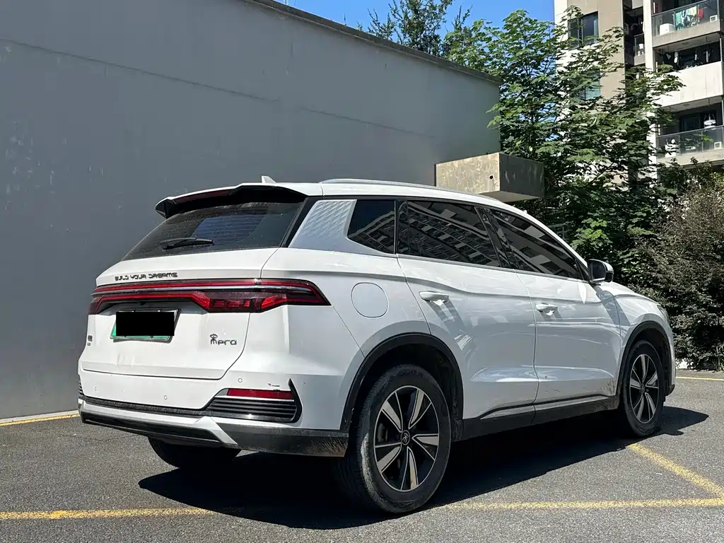 BYD Pro New Energy — фото 4