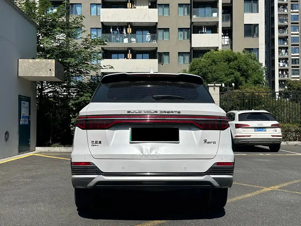 BYD Pro New Energy — фото 5