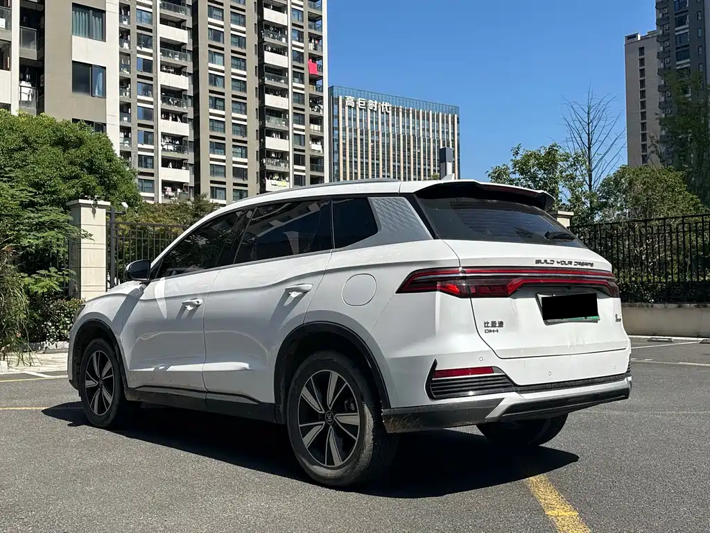 BYD Pro New Energy — фото 6