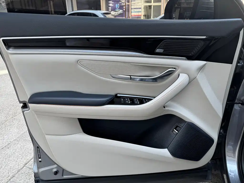 BYD PLUS New Energy — фото 11