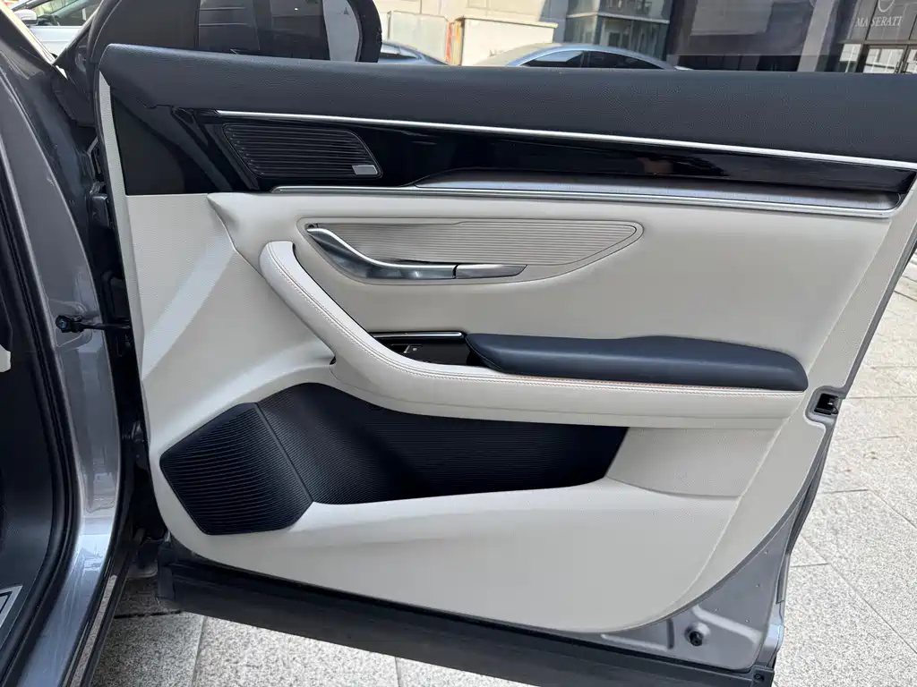 BYD PLUS New Energy — фото 14