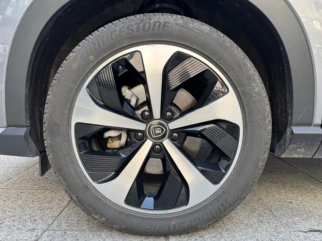 BYD PLUS New Energy — фото 29