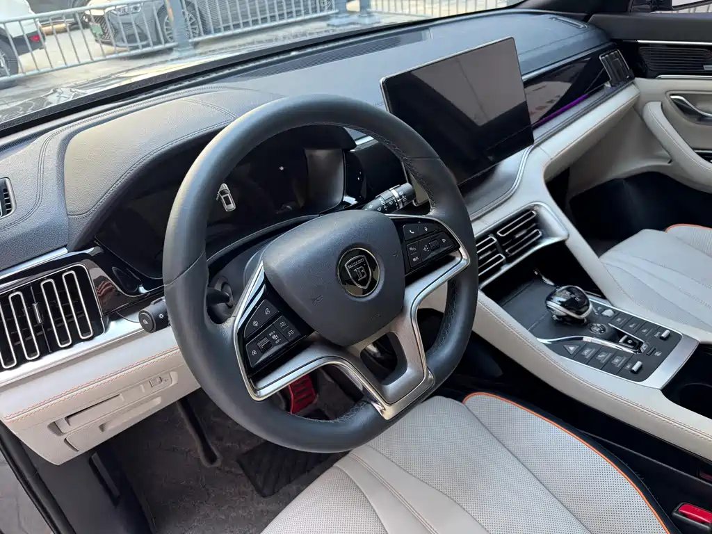 BYD PLUS New Energy — фото 10
